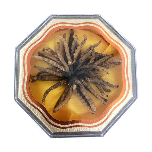 Cordyceps - 3500 (10g/box)