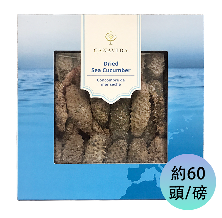 South American Sea Cucumber - Small (454g/box)