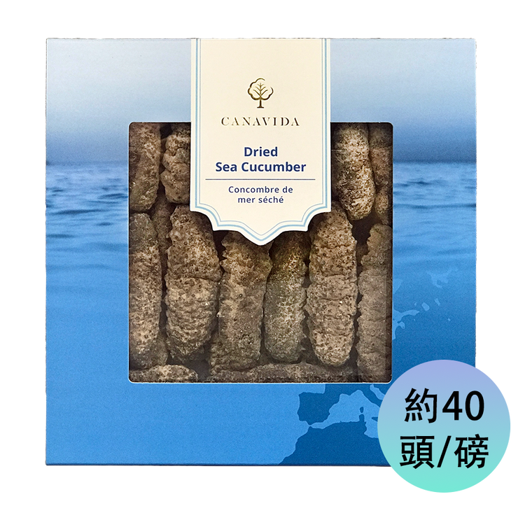 South American Sea Cucumber - Medium (454g/box)