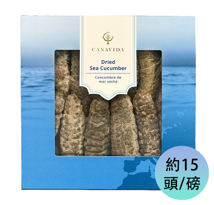 South American Fat Sea Cucumber - Extra Large (454g/box)