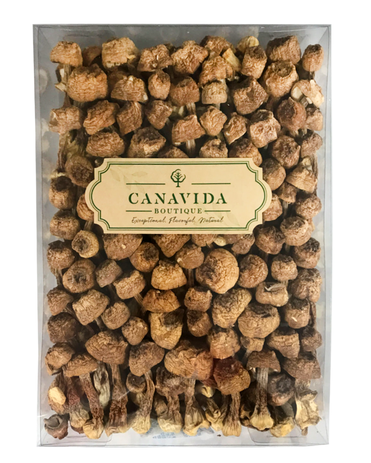 姬松茸菇(400g/盒)