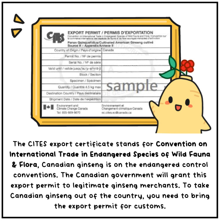 langify_image_container