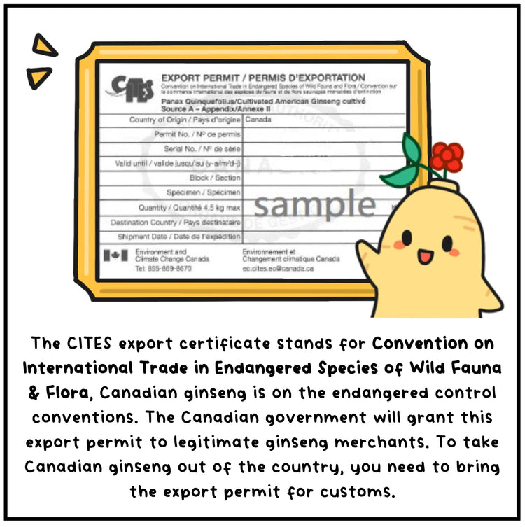 langify_image_container