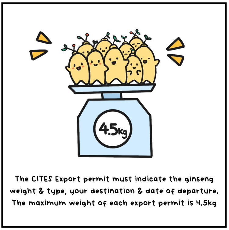 langify_image_container