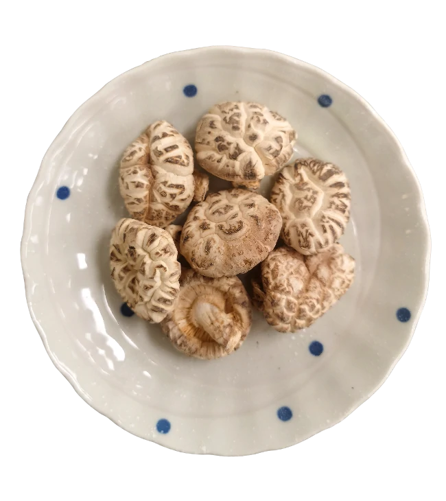 Japanese premium white flower mushroom (227g/box)