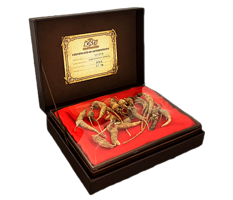 美國野山參皮禮盒-500/兩(37.5g/盒)