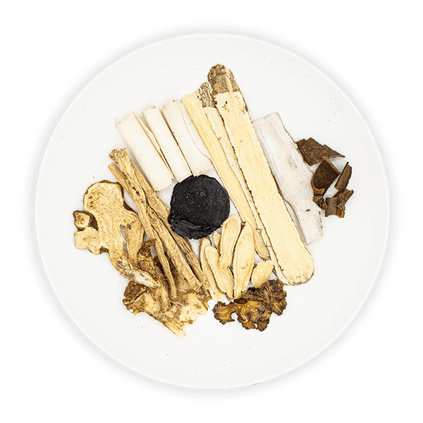 Shi Quan Da Tonic Soup Buns