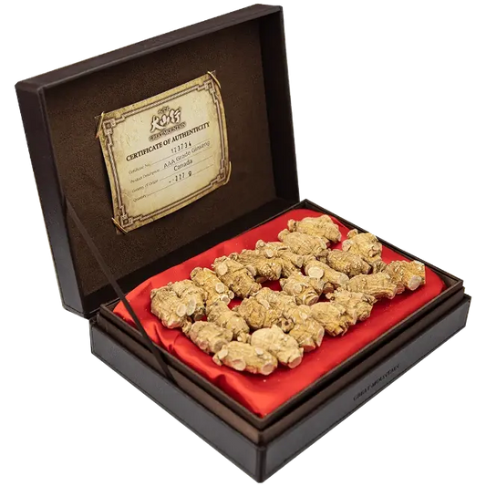 Premium Canadian Ginseng in Leather Gift Box - Round Chunky 10g (227g/box)