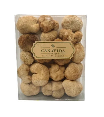 Hericium erinaceus - medium (227g/box)