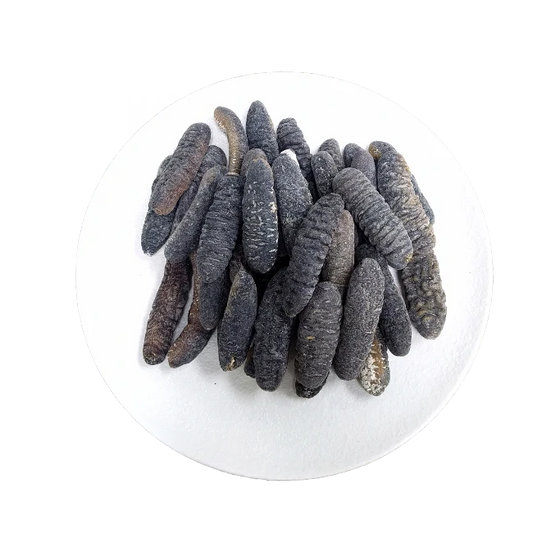 Madagascar Bald Sea Cucumber (454g/box)
