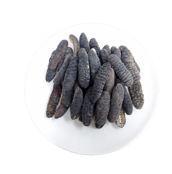 Madagascar Bald Sea Cucumber (454g/box)