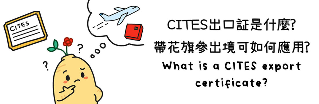 CITES 出口証是什麼? 如何應用CITES出口証?