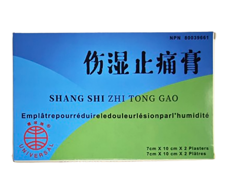 環球牌－傷濕止痛膏（2片/盒）