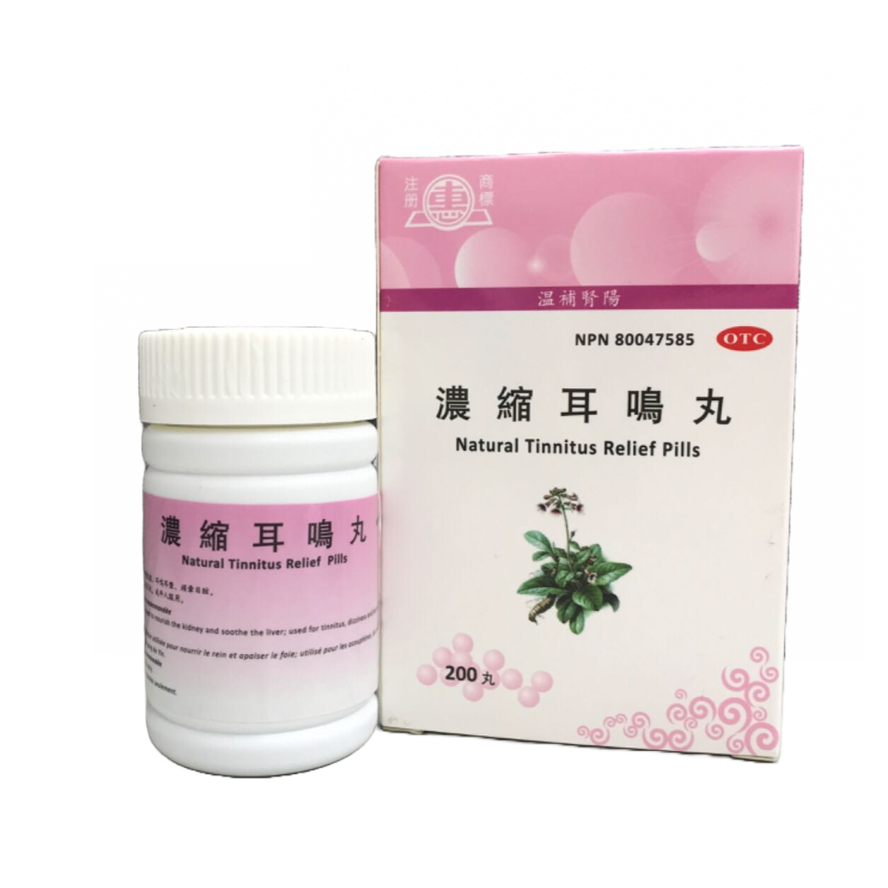 Great Mountain Ginseng