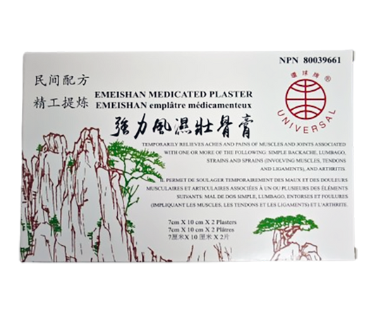 環球牌－強力風濕壯骨膏（2片/盒）