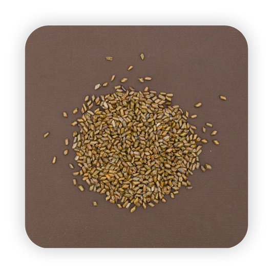 Cassia seeds (37.5g/bag)