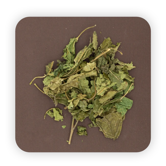 Mulberry leaves (37.5g/bag)